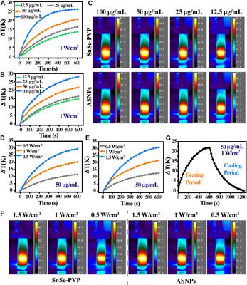 Electron Transfer Strategies to Regulate Carriers’ Separation for Intensive Pyroelectric Dynamic Therapy With Simultaneous Photothermal Therapy